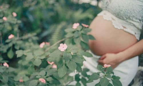 שלבי התפתחות התינוק בזמן הריון מחולקים ל- 9 חודשים